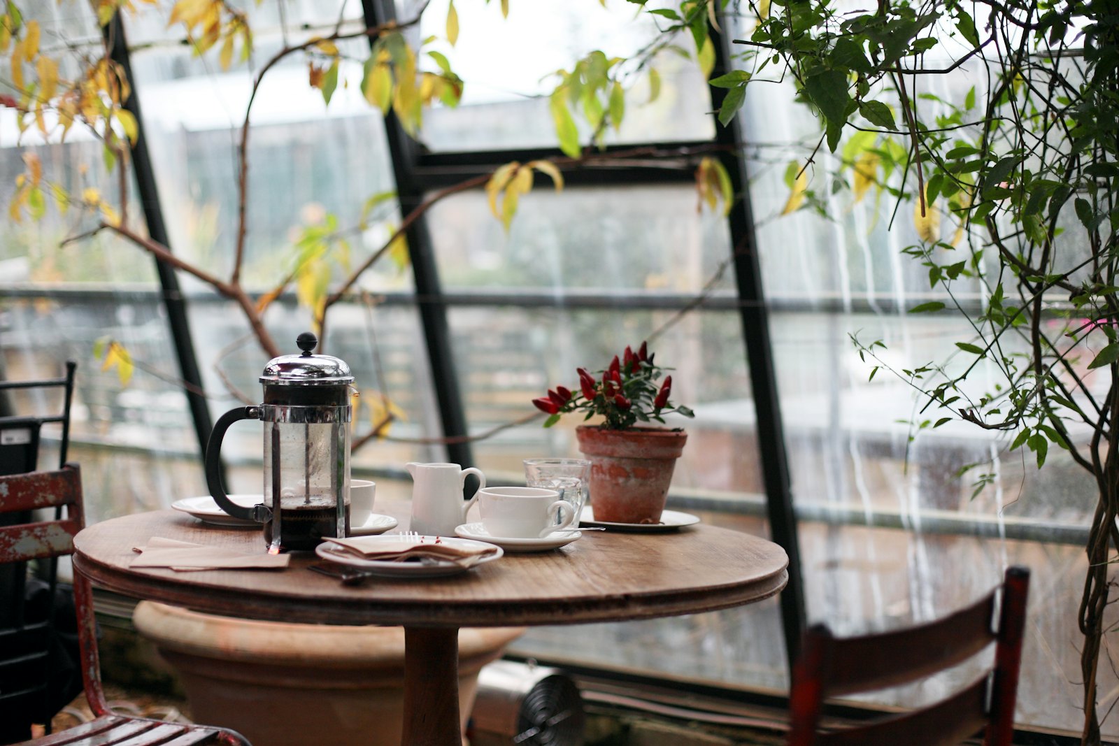 Window table with plants